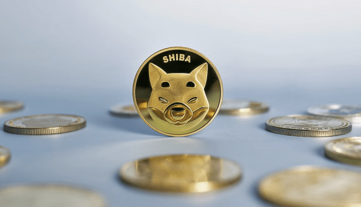 Shiba inu shib
