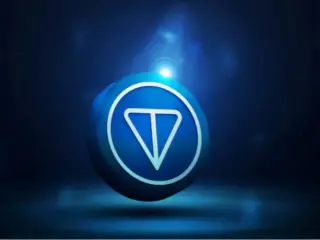Number of Toncoin Wal transactions shoots high