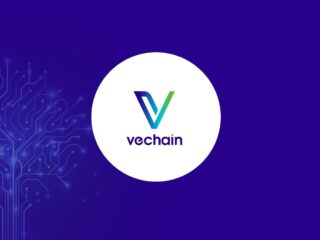 The next Google or Amazon could be called Vechain - but very few notice it