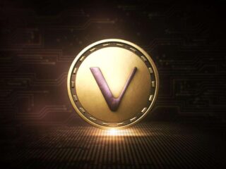 VECHAINS LEDGER is not only a financial instrument but also mirror of global truths