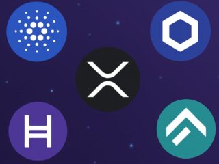 Five altcoins now have sensational development opportunities - especially ADA and XRP