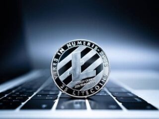 Luxxfolio wants to buy a million Litecoin