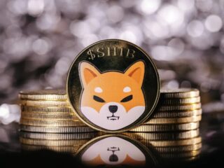 Biggest Shiba Inu transfer boost since June – 1.06 trillion SHIB flowed back to the stock exchanges