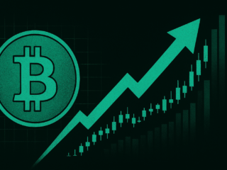 Global direct and indirect Bitcoin investments peak at over 4 million BTC