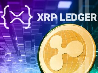XRPL had an excellent February performance - but the price does not reflect it