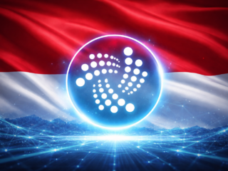 Indonesian study proposes IOTA based patient record system