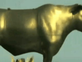 Man who invented 'world's most painful torture machine' turned a sufferer of it himself