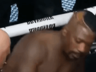 Brutal second Ray J will get knocked out in MMA struggle months after saying he 'doesn’t have lengthy left to reside’