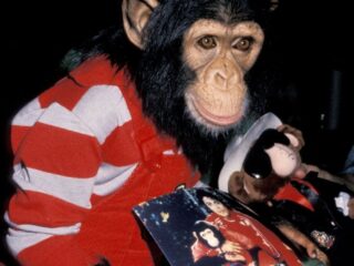 The place Michael Jackson’s monkey Bubbles is now years after singer's demise