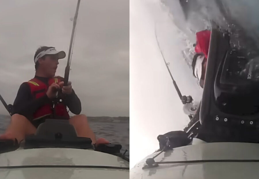 Great White Shark Slams Into Kayak, Sending Fisherman Into Ocean in Terrifying Encounter