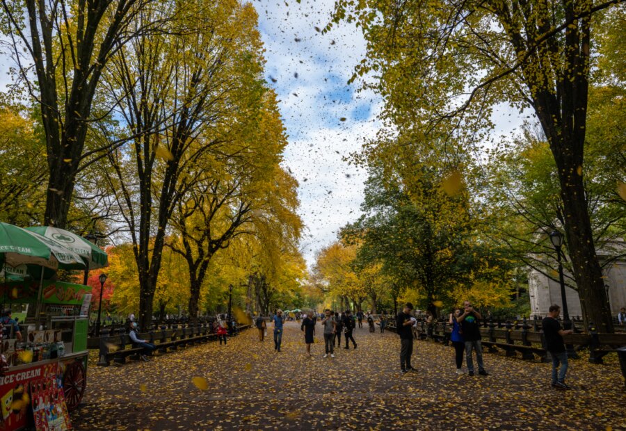 Old Farmer’s Almanac Predicts September Weather Across the U.S.
