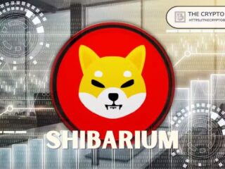Shiba Inu’s Shibarium TVL Plunges 74% in 48 Hours as DeFi Activity Falls