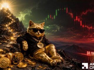 Should CASHCAT Traders Expect a Major Price Correction Soon?