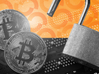 Sparrow Bitcoin Privacy Wallet Releases Update After AI Flags Security Issues
