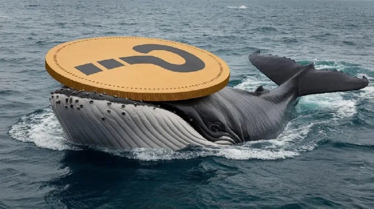Altcoin Whale Offloads Major Holding, On-Chain Data Shows