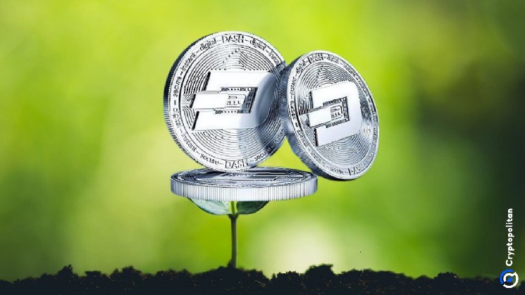 Dash Price Prediction 2026‑2032: Can DASH Stage a Recovery Soon?