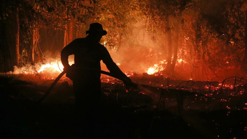 El Niño Intensifies to Super Status: What It Means for Weather