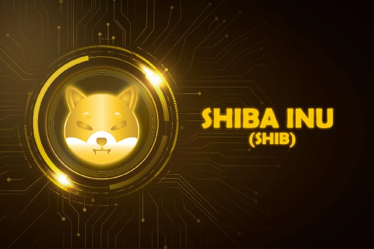 Major Shiba Inu (SHIB) Pattern: Triangle Breakout Nears as Whale Concentration Hits 94.68%